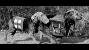 Dog Anti Tank Soviet