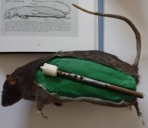 Mouse Bomb